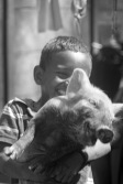 boy with laughing pig in the foco